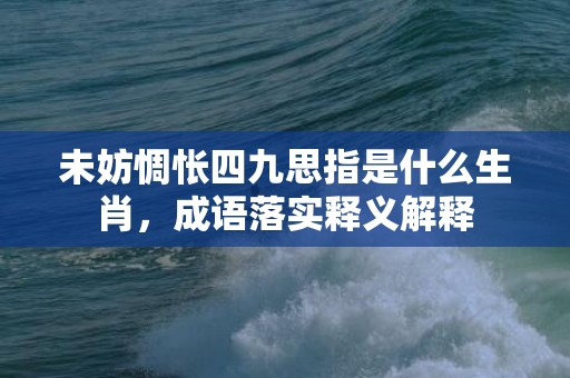 未妨惆怅四九思指是什么生肖，成语落实释义解释