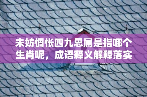 未妨惆怅四九思属是指哪个生肖呢，成语释义解释落实