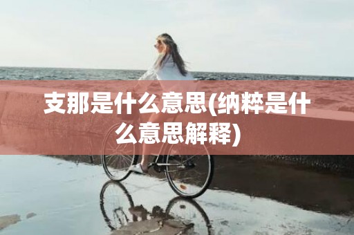 支那是什么意思(纳粹是什么意思解释)