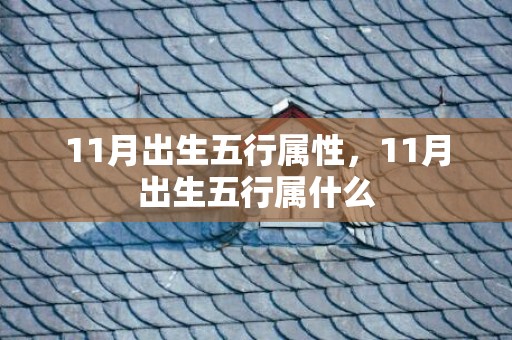 11月出生五行属性，11月出生五行属什么