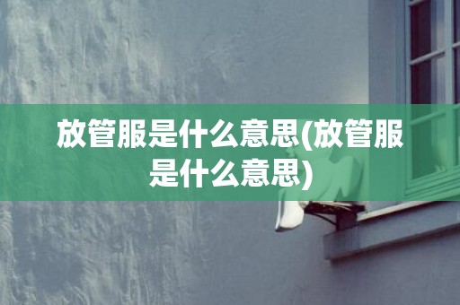 放管服是什么意思(放管服是什么意思)