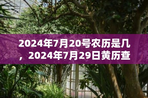 2024年7月20号农历是几，2024年7月29日黄历查询