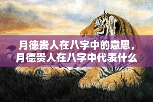 月德贵人在八字中的意思，月德贵人在八字中代表什么意思