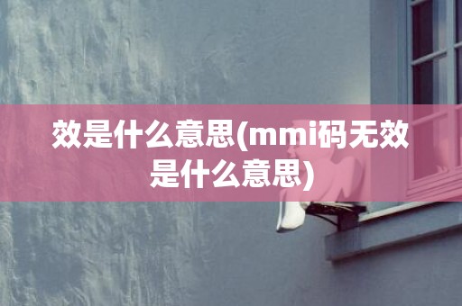 效是什么意思(mmi码无效是什么意思)