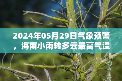 2024年05月29日气象预警，海南小雨转多云最高气温17℃