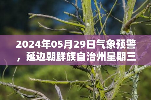 2024年05月29日气象预警，延边朝鲜族自治州星期三天气预报 大部中雨转小雨