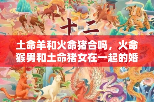 土命羊和火命猪合吗，火命猴男和土命猪女在一起的婚姻好吗
