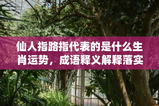 仙人指路指代表的是什么生肖运势，成语释义解释落实