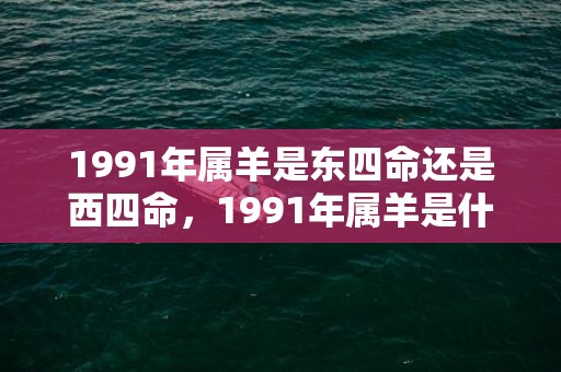 1991年属羊是东四命还是西四命，1991年属羊是什么土命