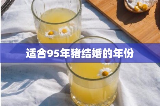 适合95年猪结婚的年份