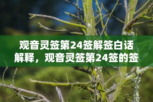 观音灵签第24签解签白话解释，观音灵签第24签的签语解意