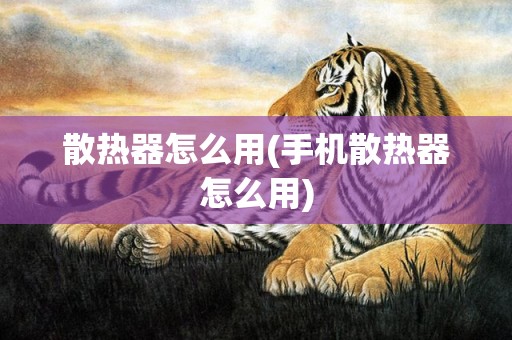 散热器怎么用(手机散热器怎么用)