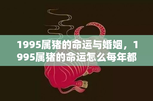 1995属猪的命运与婚姻，1995属猪的命运怎么每年都那么不好