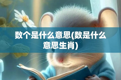 数个是什么意思(数是什么意思生肖)