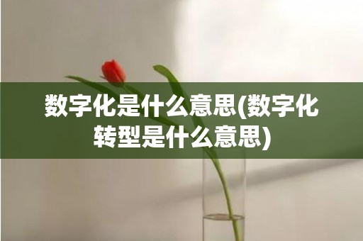 数字化是什么意思(数字化转型是什么意思)