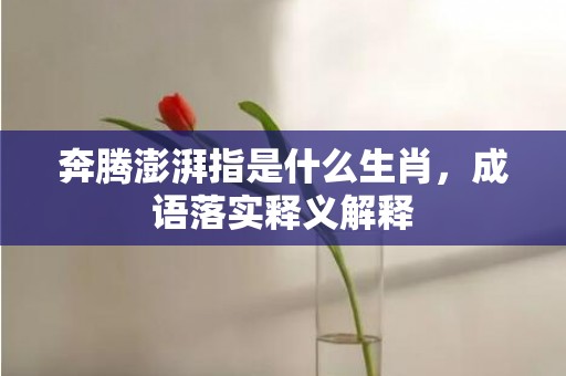 奔腾澎湃指是什么生肖，成语落实释义解释