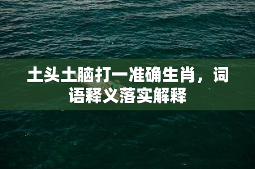 土头土脑打一准确生肖，词语释义落实解释