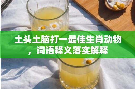 土头土脑打一最佳生肖动物，词语释义落实解释