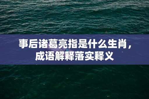 事后诸葛亮指是什么生肖，成语解释落实释义