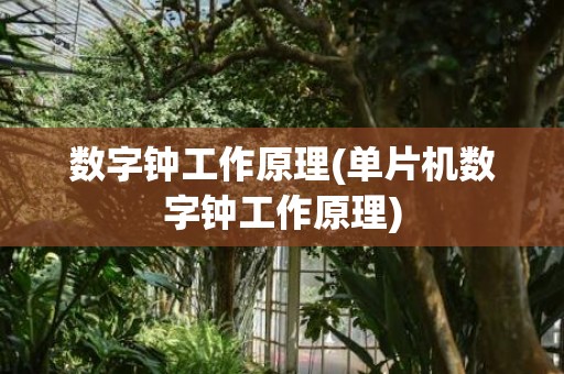 数字钟工作原理(单片机数字钟工作原理)