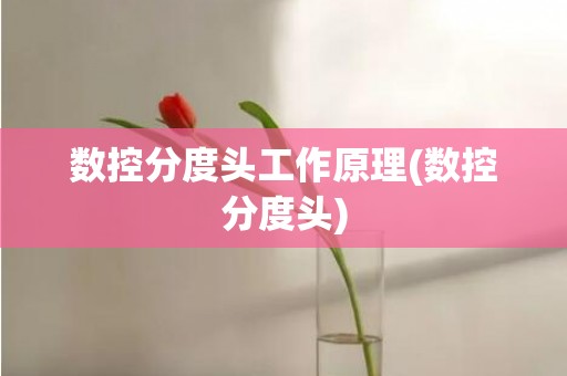 数控分度头工作原理(数控分度头)
