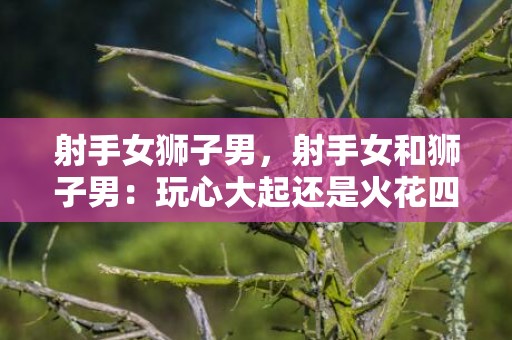 射手女狮子男，射手女和狮子男：玩心大起还是火花四溅？