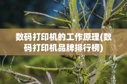 数码打印机的工作原理(数码打印机品牌排行榜)