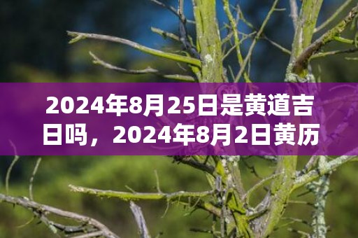 2024年8月25日是黄道吉日吗，2024年8月2日黄历查询