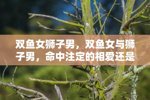 双鱼女狮子男，双鱼女与狮子男，命中注定的相爱还是命运的捉弄？