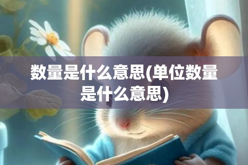 数量是什么意思(单位数量是什么意思)