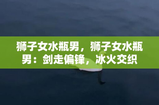 狮子女水瓶男，狮子女水瓶男：剑走偏锋，冰火交织