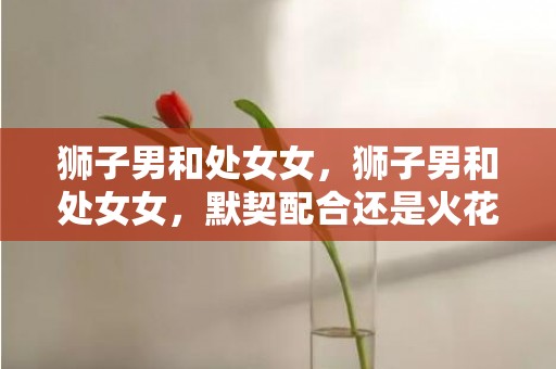 狮子男和处女女，狮子男和处女女，默契配合还是火花四溅？