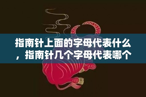 指南针上面的字母代表什么，指南针几个字母代表哪个方向