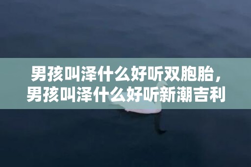 男孩叫泽什么好听双胞胎，男孩叫泽什么好听新潮吉利