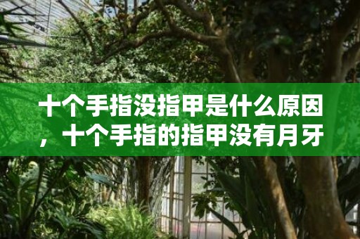 十个手指没指甲是什么原因，十个手指的指甲没有月牙是有病吗