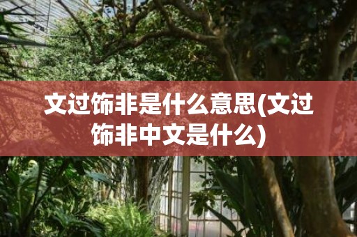 文过饰非是什么意思(文过饰非中文是什么)