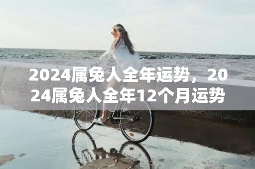 2024属兔人全年运势，2024属兔人全年12个月运势