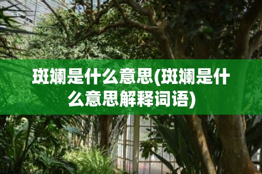 斑斓是什么意思(斑斓是什么意思解释词语)