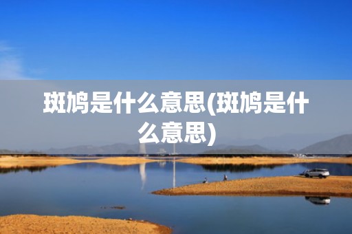 斑鸠是什么意思(斑鸠是什么意思)