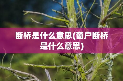 断桥是什么意思(窗户断桥是什么意思)
