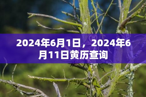 2024年6月1日，2024年6月11日黄历查询