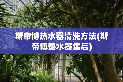斯帝博热水器清洗方法(斯帝博热水器售后)