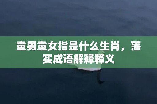 童男童女指是什么生肖，落实成语解释释义