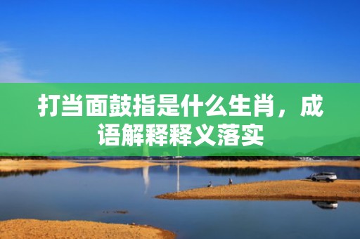 打当面鼓指是什么生肖，成语解释释义落实