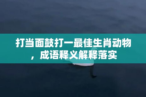 打当面鼓打一最佳生肖动物，成语释义解释落实