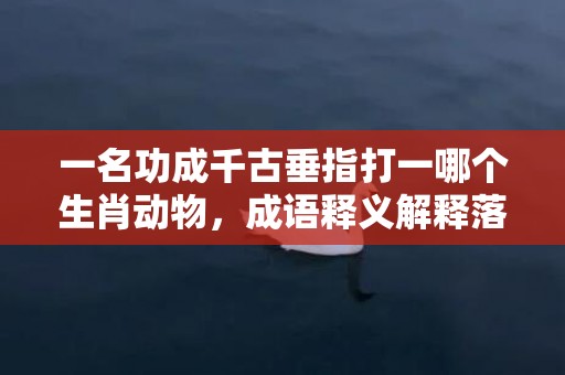 一名功成千古垂指打一哪个生肖动物，成语释义解释落实
