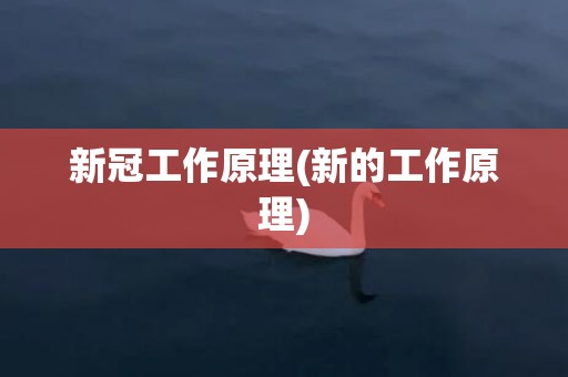 新冠工作原理(新的工作原理)
