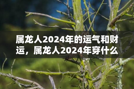 属龙人2024年的运气和财运，属龙人2024年穿什么颜色衣服最旺