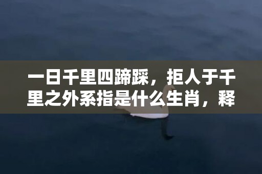 一日千里四蹄踩，拒人于千里之外系指是什么生肖，释义成语解释落实