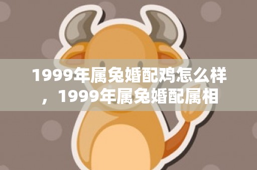 1999年属兔婚配鸡怎么样，1999年属兔婚配属相